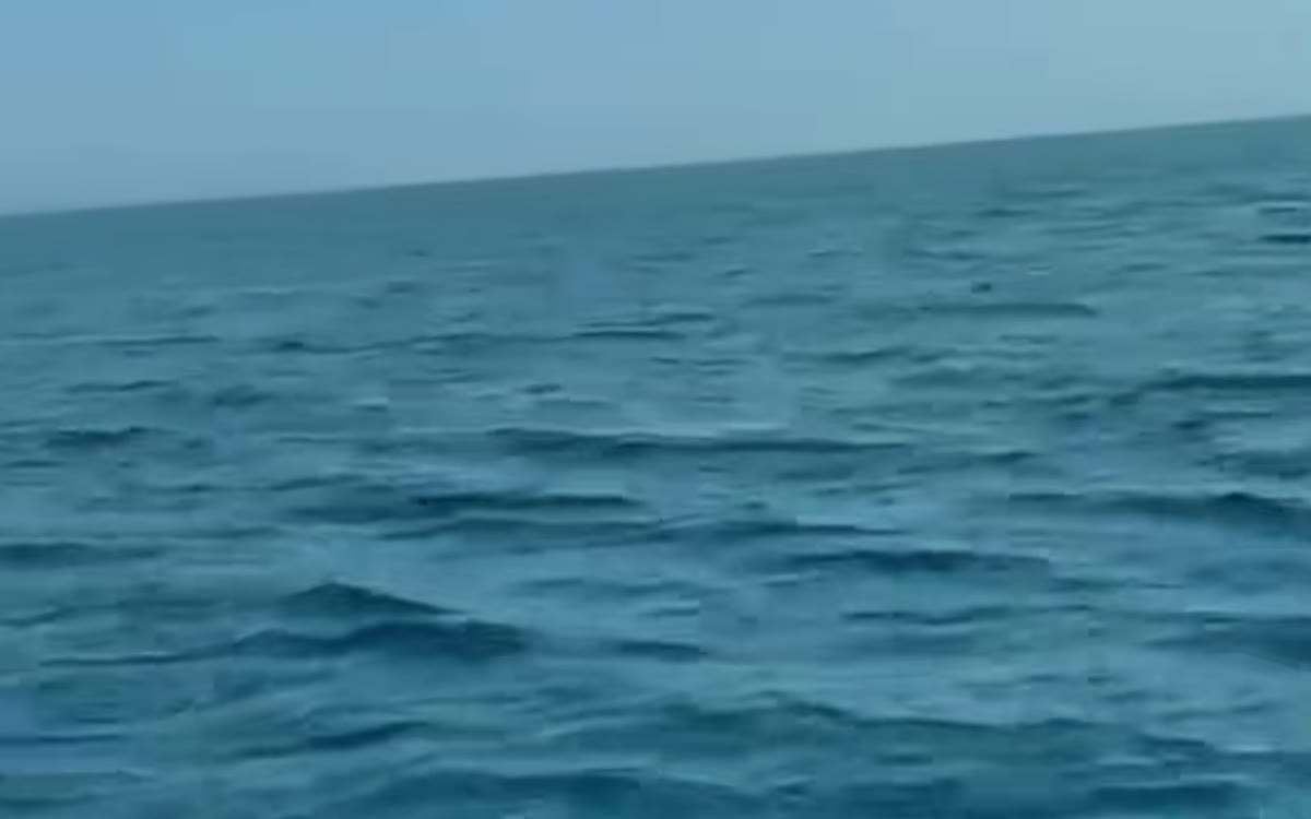بحر مفتوح عند الغروب — رحلات صيد